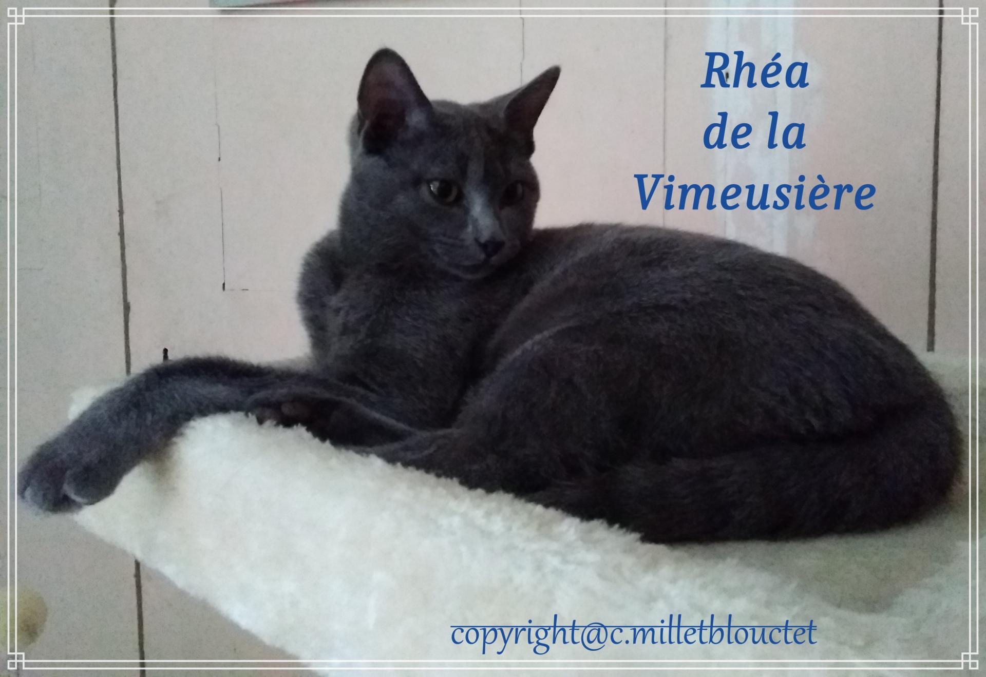 20 07 2020 rhea 2
